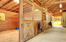 Black Dog stable construction leads